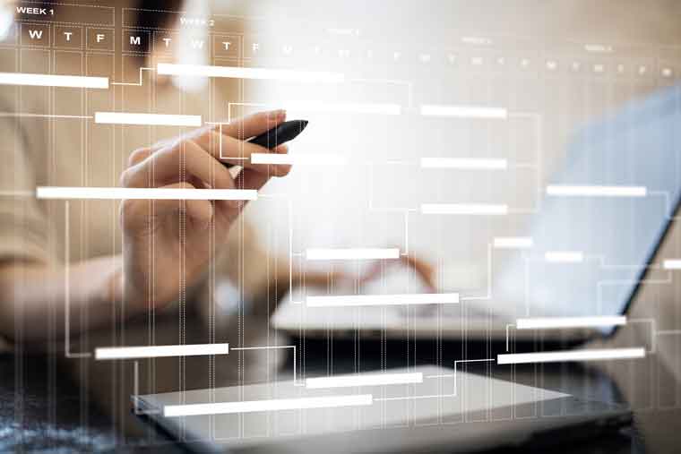 Consulting & Management - Our key responsabilities